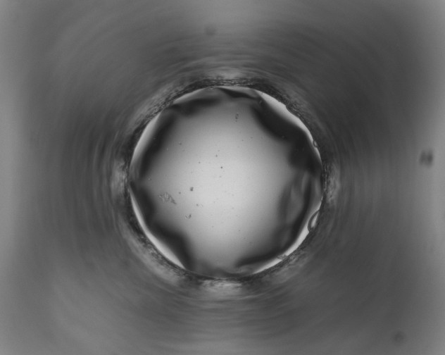 X0000111120476200907211054