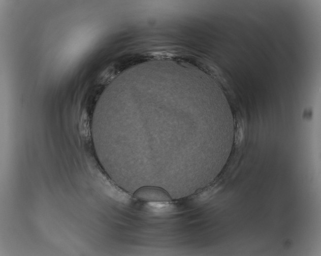 X0000111120477200907211054