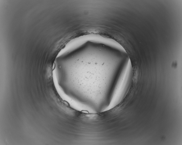 X0000111120478200907211054