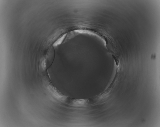 X0000111120479200907211054
