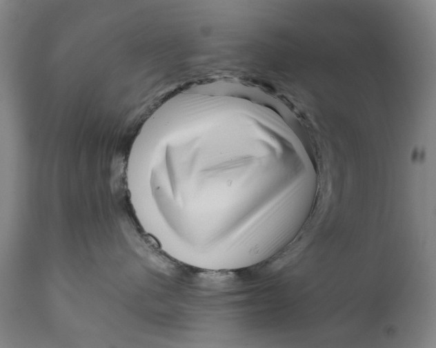 X0000111120480200907211054