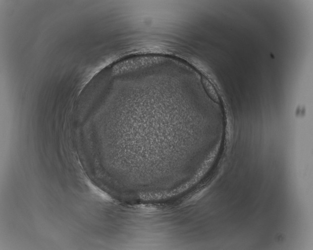 X0000111120481200907211054
