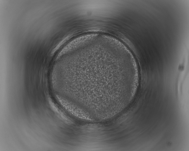 X0000111120482200907211054