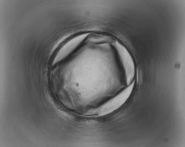X0000111120483200907211054