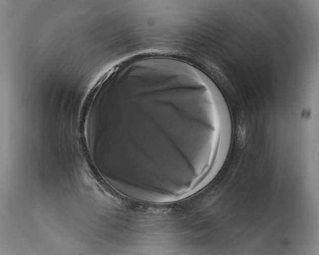 X0000111120484200907211053