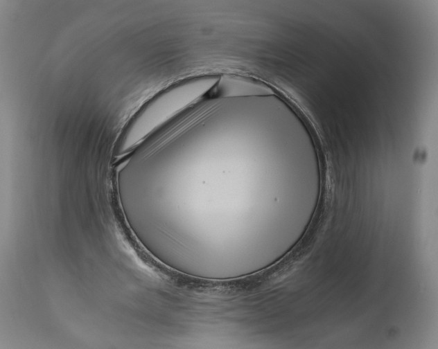 X0000111120485200907211053