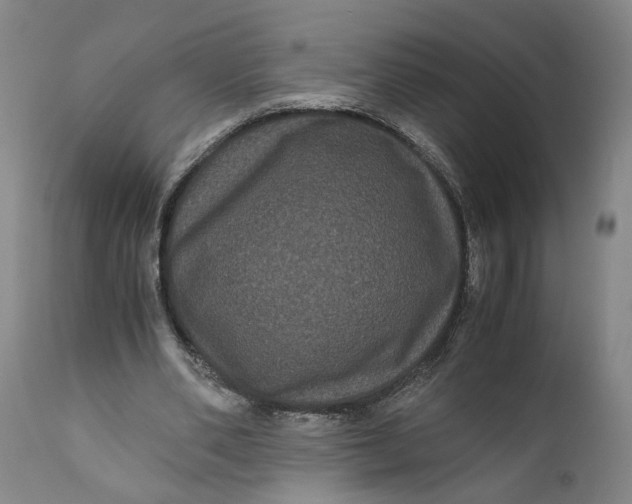 X0000111120486200907211053