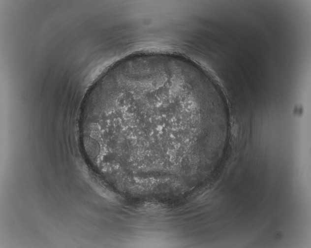 X0000111120487200907211053