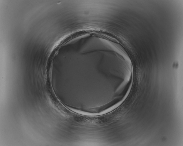 X0000111120488200907211053