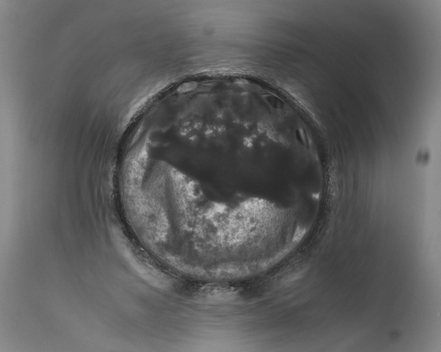 X0000111120491200907211053