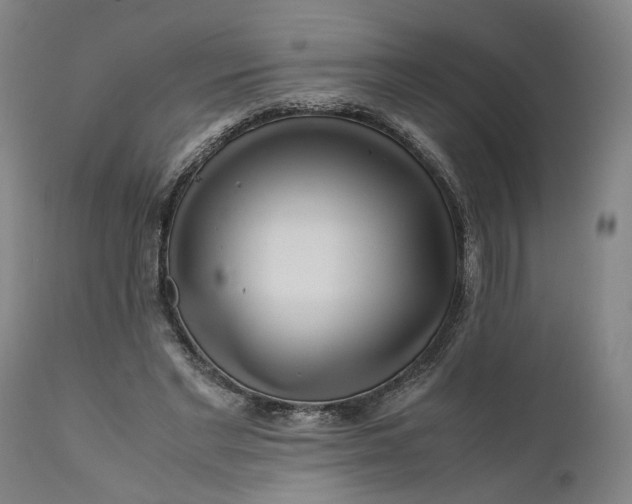 X0000111120493200907211053