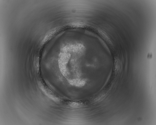 X0000111120494200907211053
