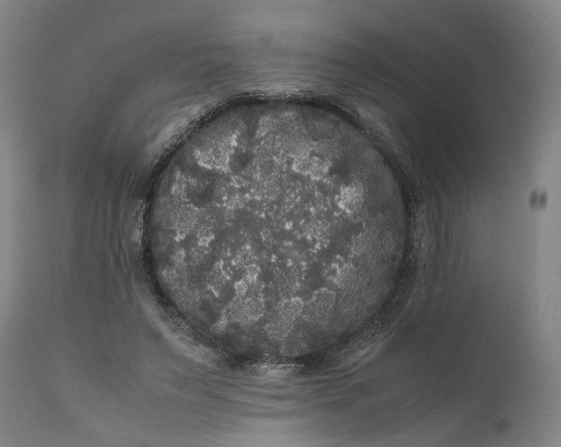 X0000111120495200907211053