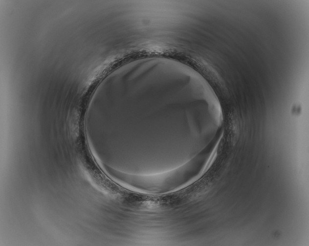 X0000111120496200907211053