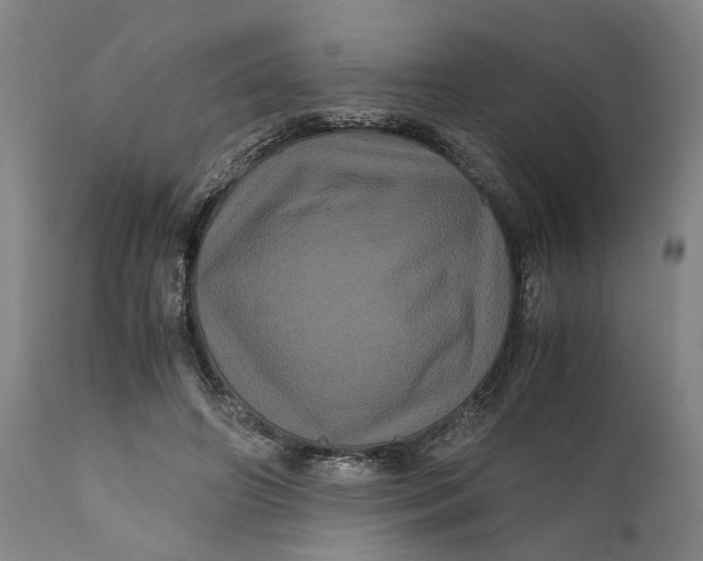 X0000111120498200907211053