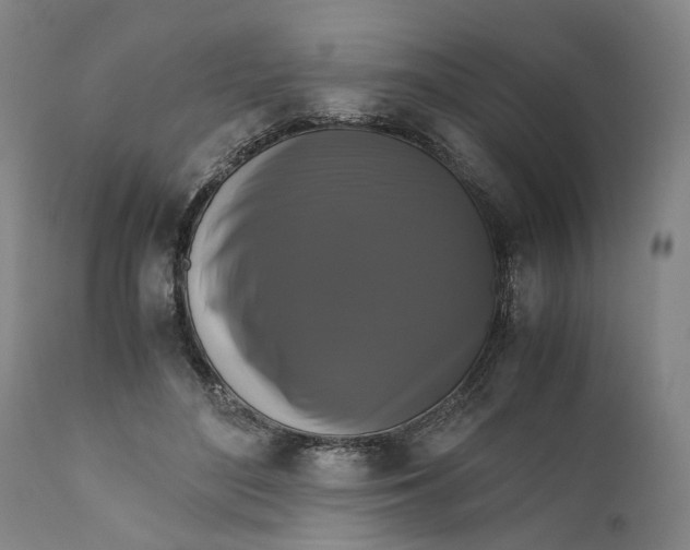 X0000111120500200907211053