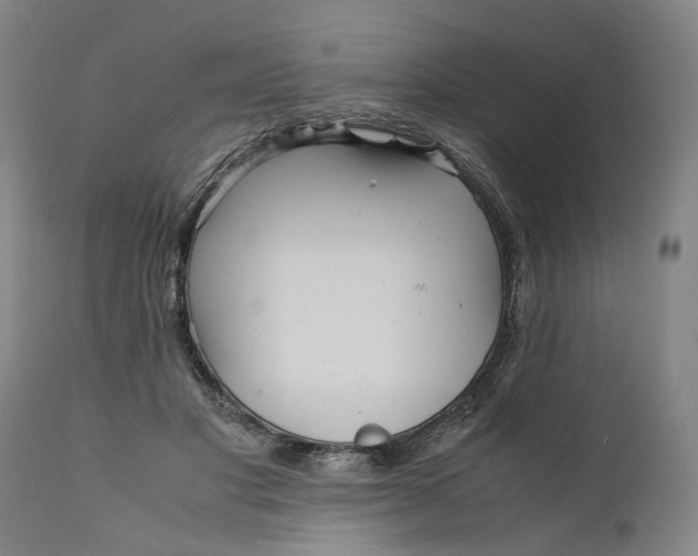 X0000111120501200907211053