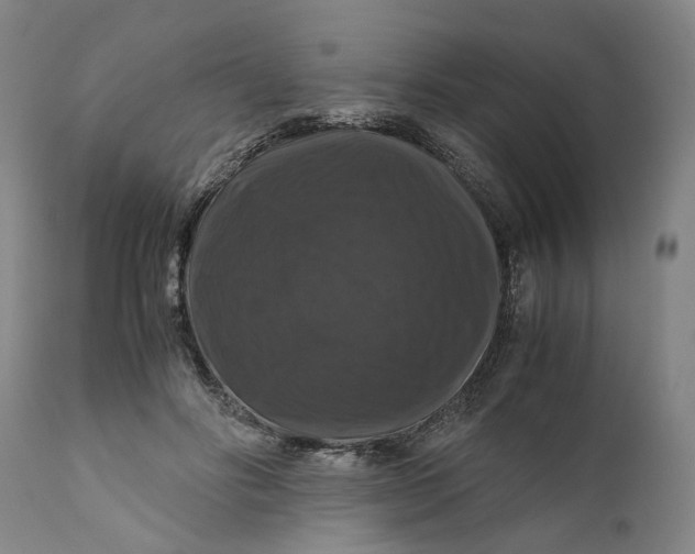 X0000111120502200907211053