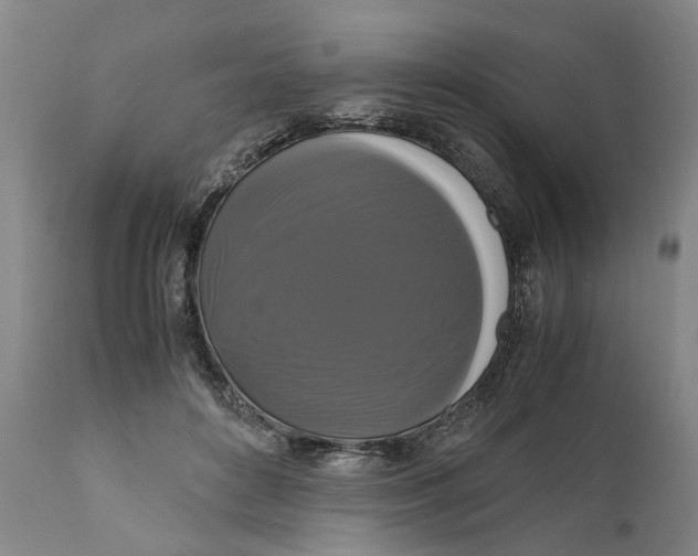 X0000111120504200907211053