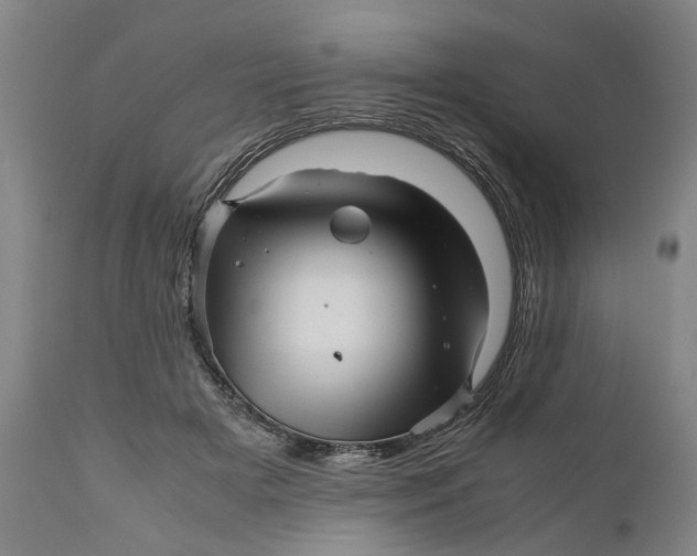 X0000111120505200907211053
