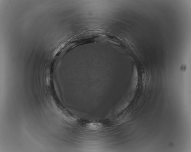 X0000111120508200907211053