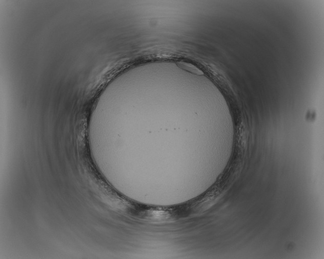 X0000111120509200907211053