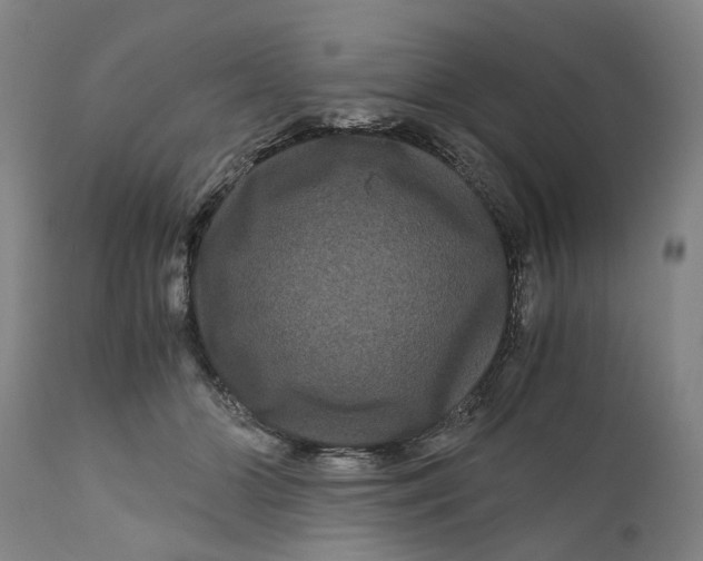 X0000111120510200907211053