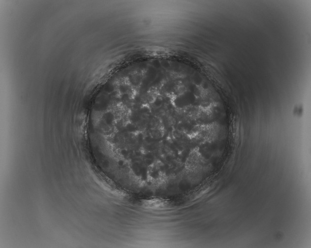 X0000111120511200907211053