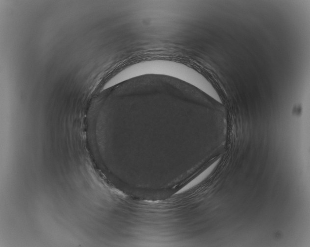 X0000111120512200907211053