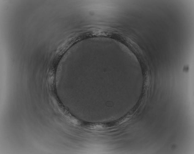 X0000111120513200907211053