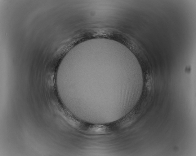 X0000111120514200907211053