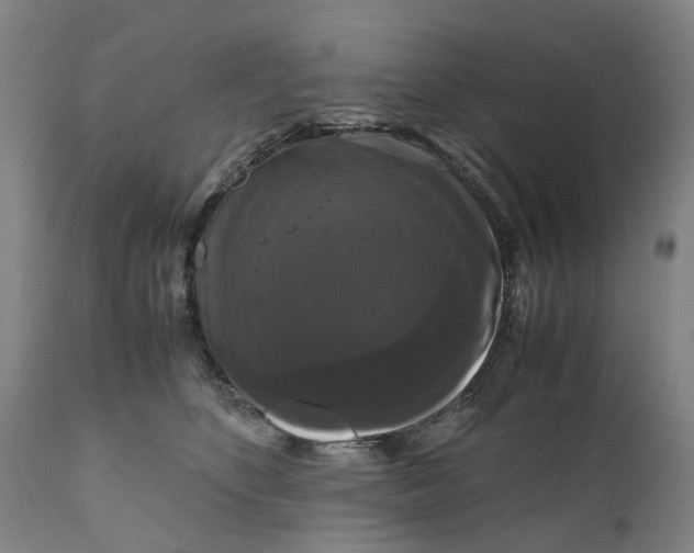 X0000111120516200907211053