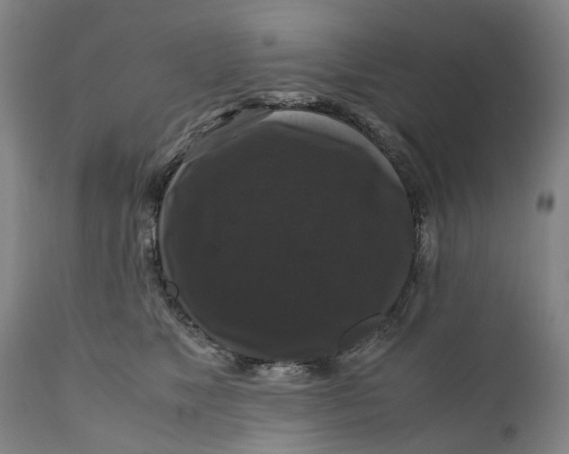 X0000111120517200907211053