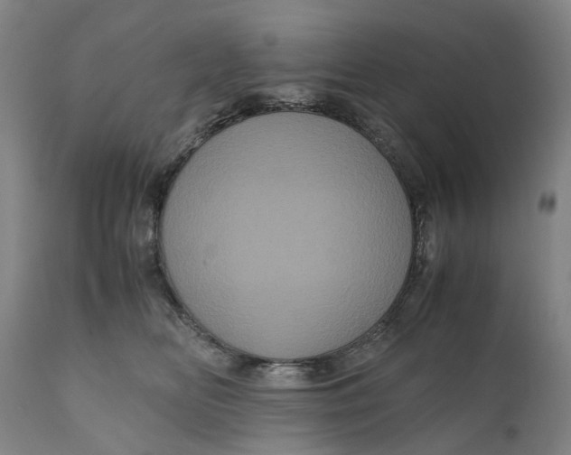X0000111120518200907211053