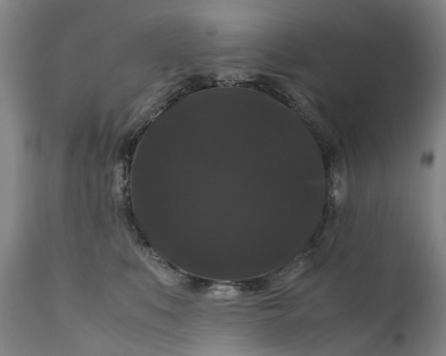 X0000111120519200907211053