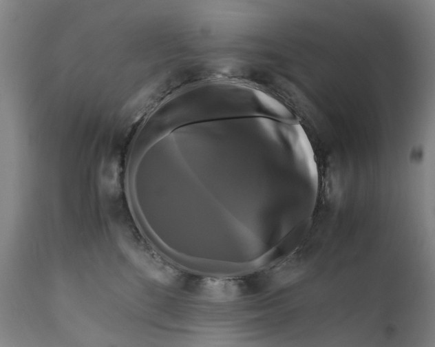 X0000111120520200907211053