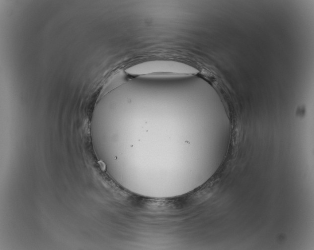 X0000111120521200907211053