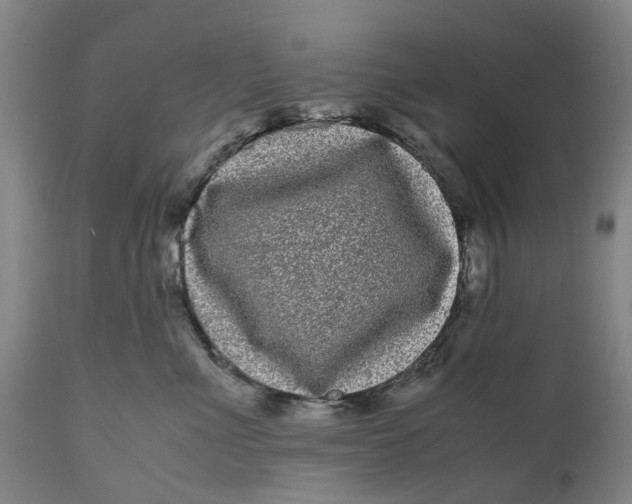 X0000111120523200907211053