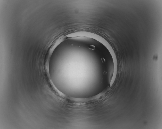 X0000111120524200907211053