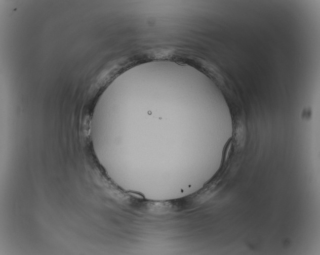 X0000111120525200907211053