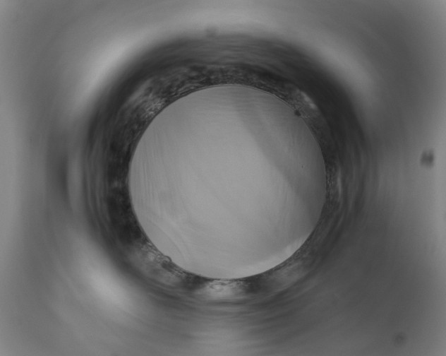 X0000111120526200907211053