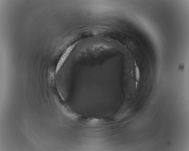 X0000111120527200907211053