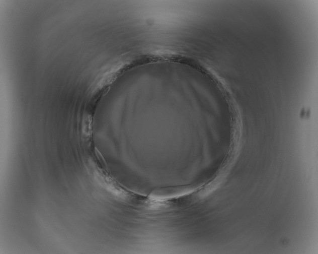 X0000111120528200907211053