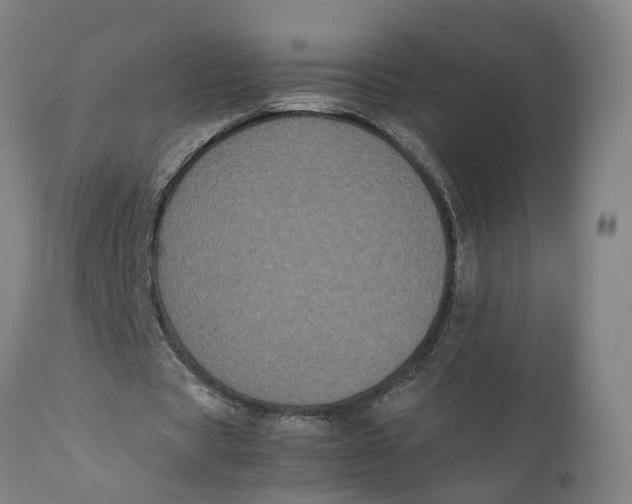X0000111120529200907211052
