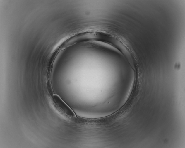 X0000111120530200907211052