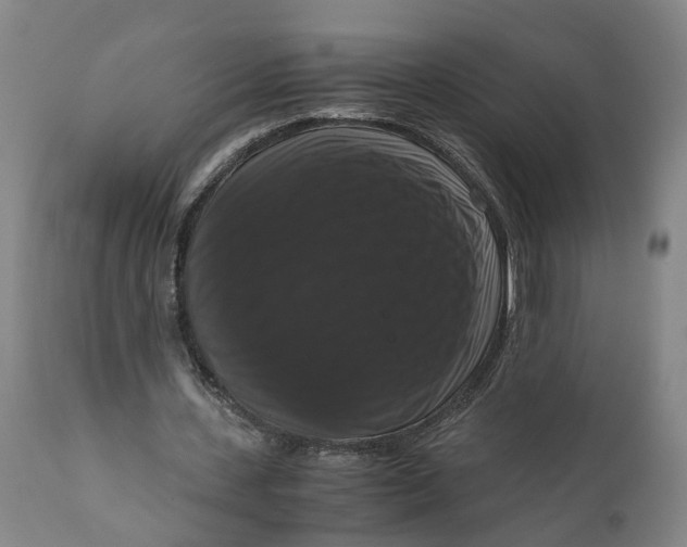 X0000111120531200907211052