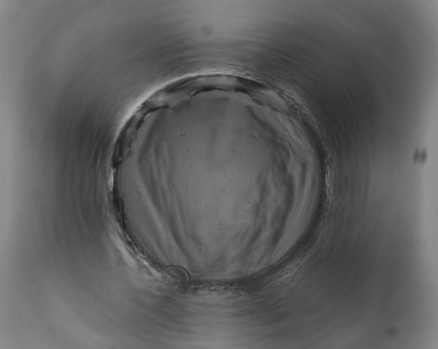 X0000111120532200907211052