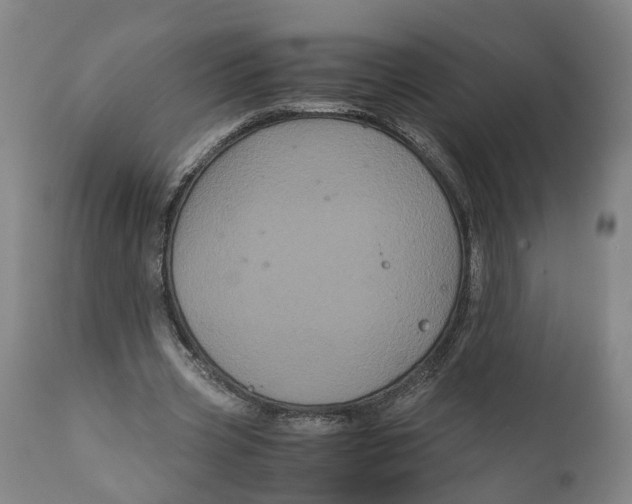 X0000111120533200907211052