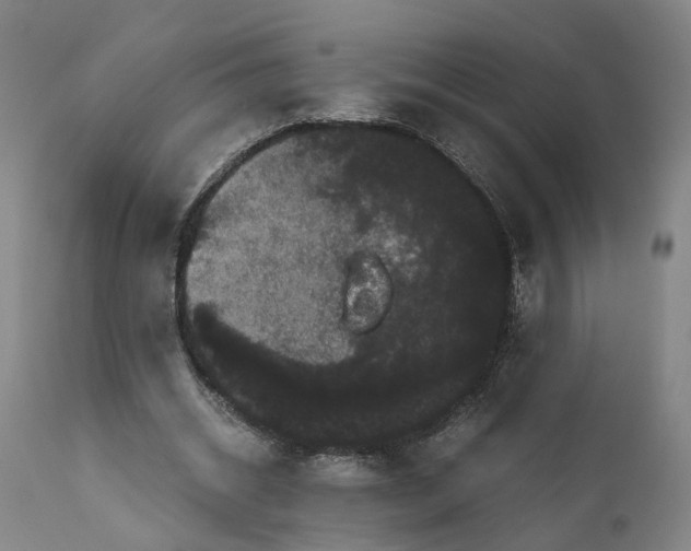 X0000111120534200907211052