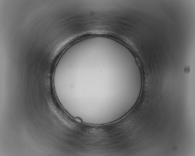 X0000111120535200907211052